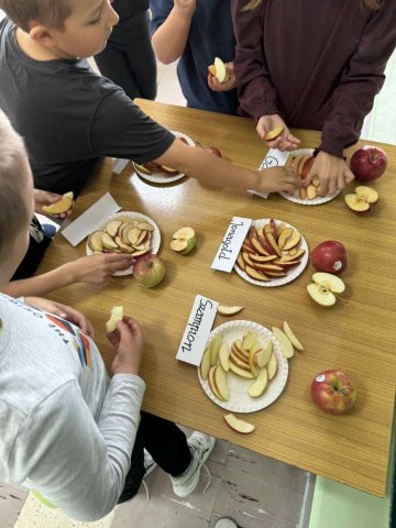 55762878612646316054647857776136618459365148n